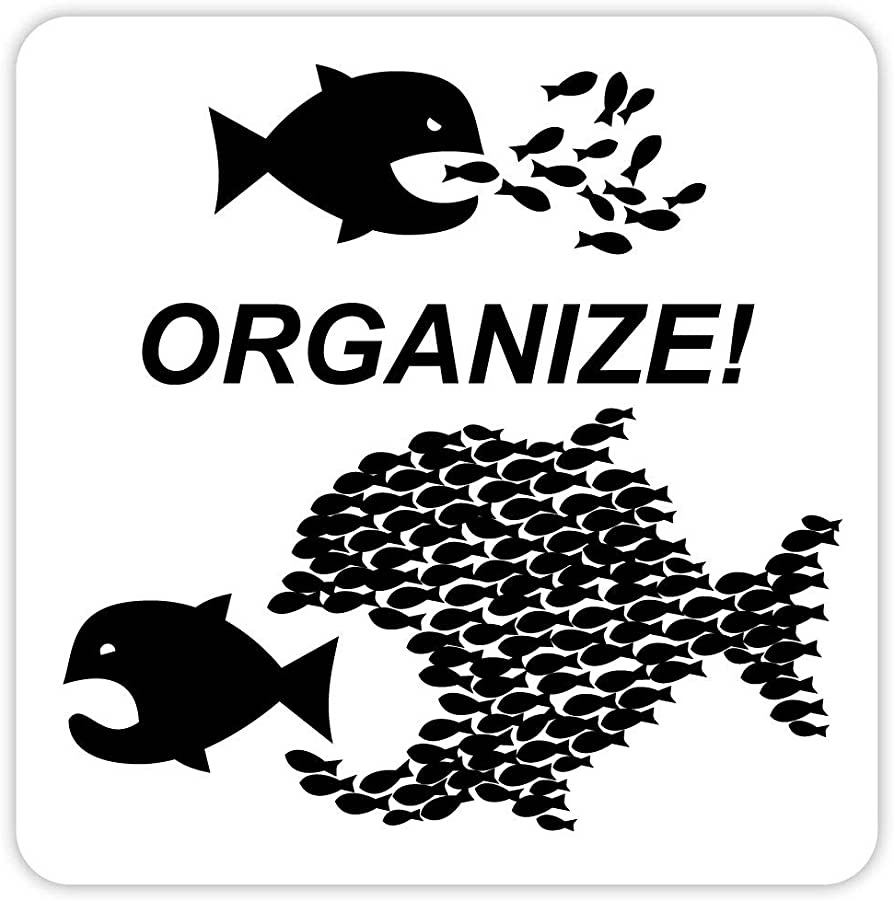 Organize fish sticker decal 4" x 4"