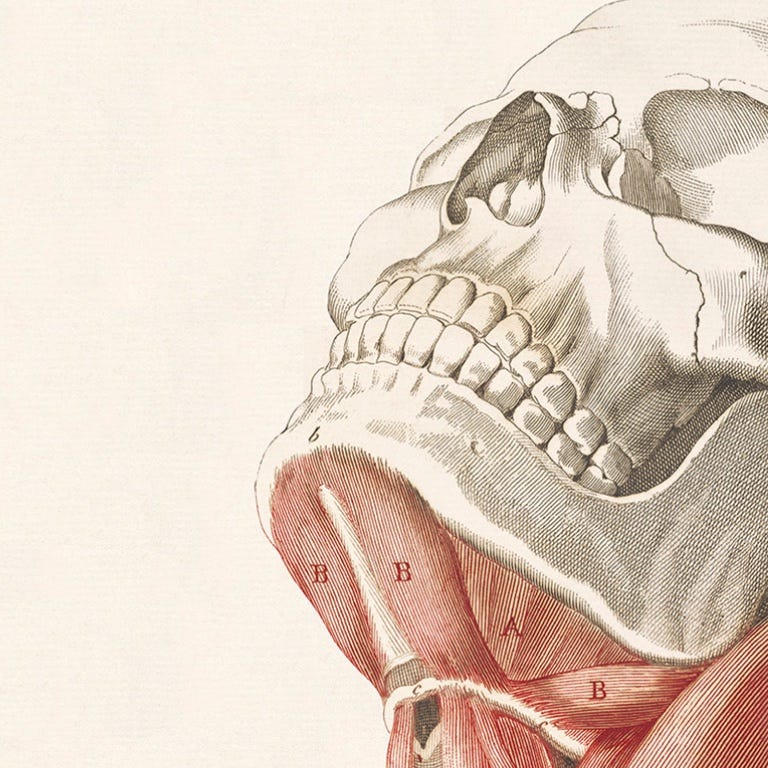 Plural of Anecdote with D Muthulingam