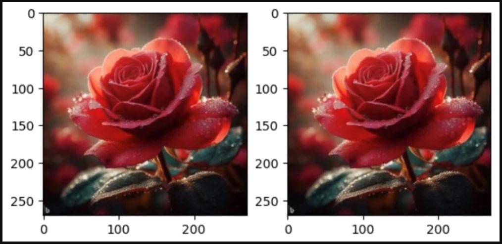 Figure 4.4 – Multiple images side by side
