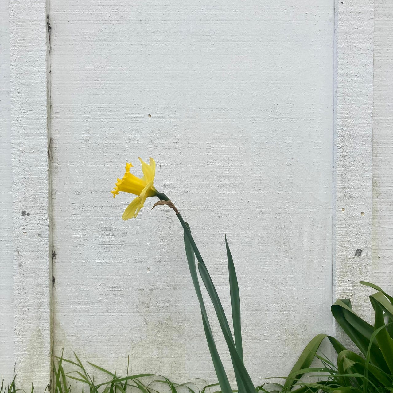 despair, you cannot have me