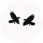 The Space Between Wings's avatar