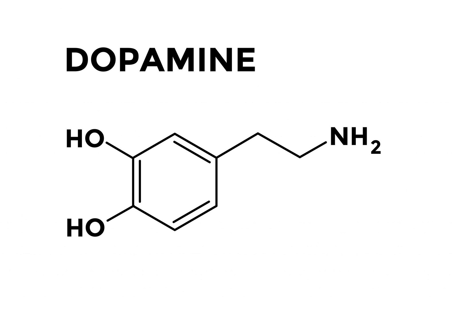 Qué es la dopamina y para qué sirve? Preguntas y respuestas - CogniFit  Blog: Brain Health News