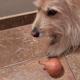 A ella tampoc li agrada