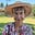 Jane Patterson's avatar