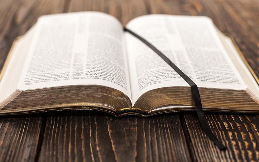 https://omag.b-cdn.net/wp-content/uploads/2019/04/19_0503_BIBLE_Open-Secrets-What-I-Found-When-I-Found-the-Bible_1021x640.jpg