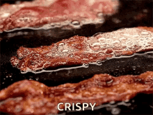 Extra Crispy Chicken Biryani GIF - Extra Crispy Chicken Biryani - Discover & Share GIFs Extra Crispy Chicken Biryani GIF - Extra Crispy Chicken Biryani - Discover & Share GIFs