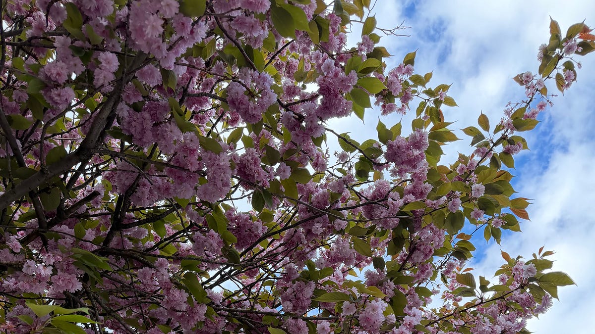 the outlier №279 - by Ben Mercer - the outlier