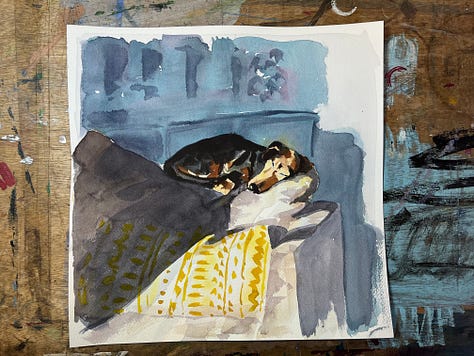 watercolour exercises paintings of a dog asleep on a chair, a blue parrot and a painting of a dog in a pub by Jo Scott