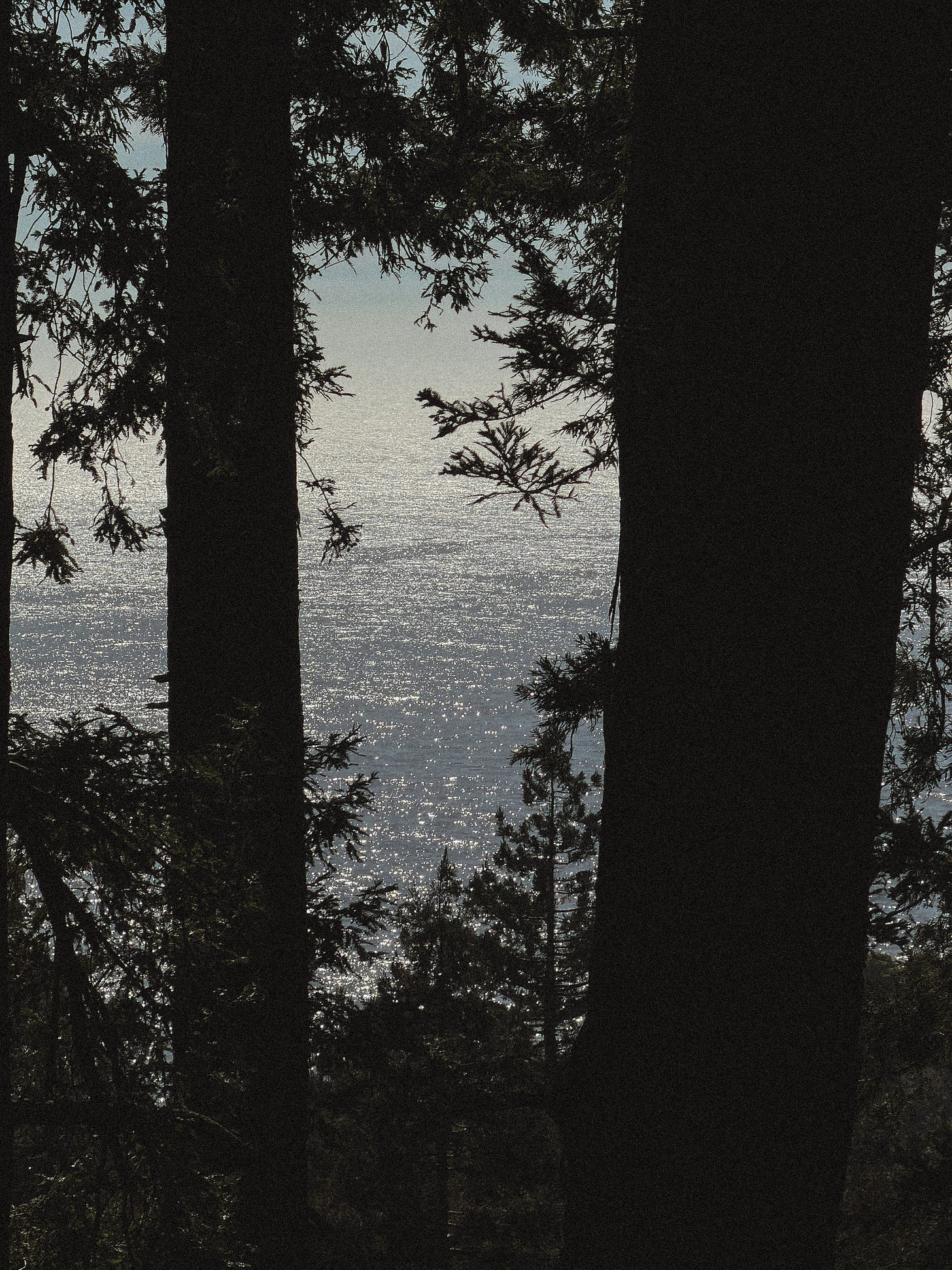hiking in Big Sur