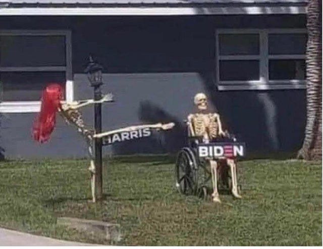 May be an image of text