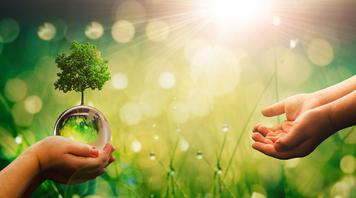 Two children’s hands exchanging a glowing sphere with a small tree inside, under warm sunlight.