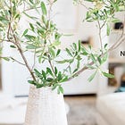 JLPT Prep: A 3-Month Intensive Program for Reading & Listening