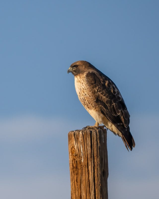 20251116-misc-124-Edit.jpg 20251116-misc-124-Edit.jpg