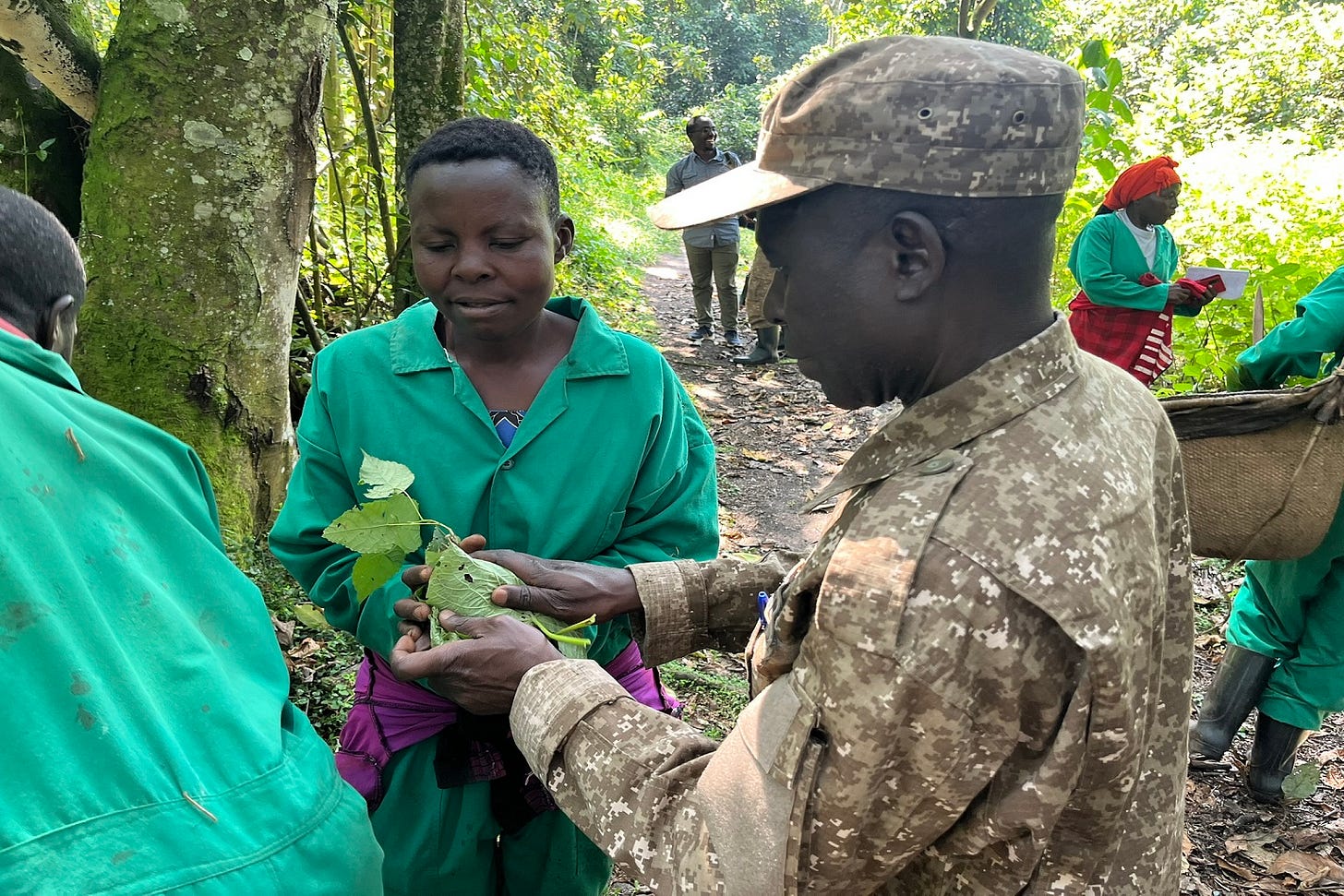 Community group members participating in forest restoration activities under the CAPA initiative.