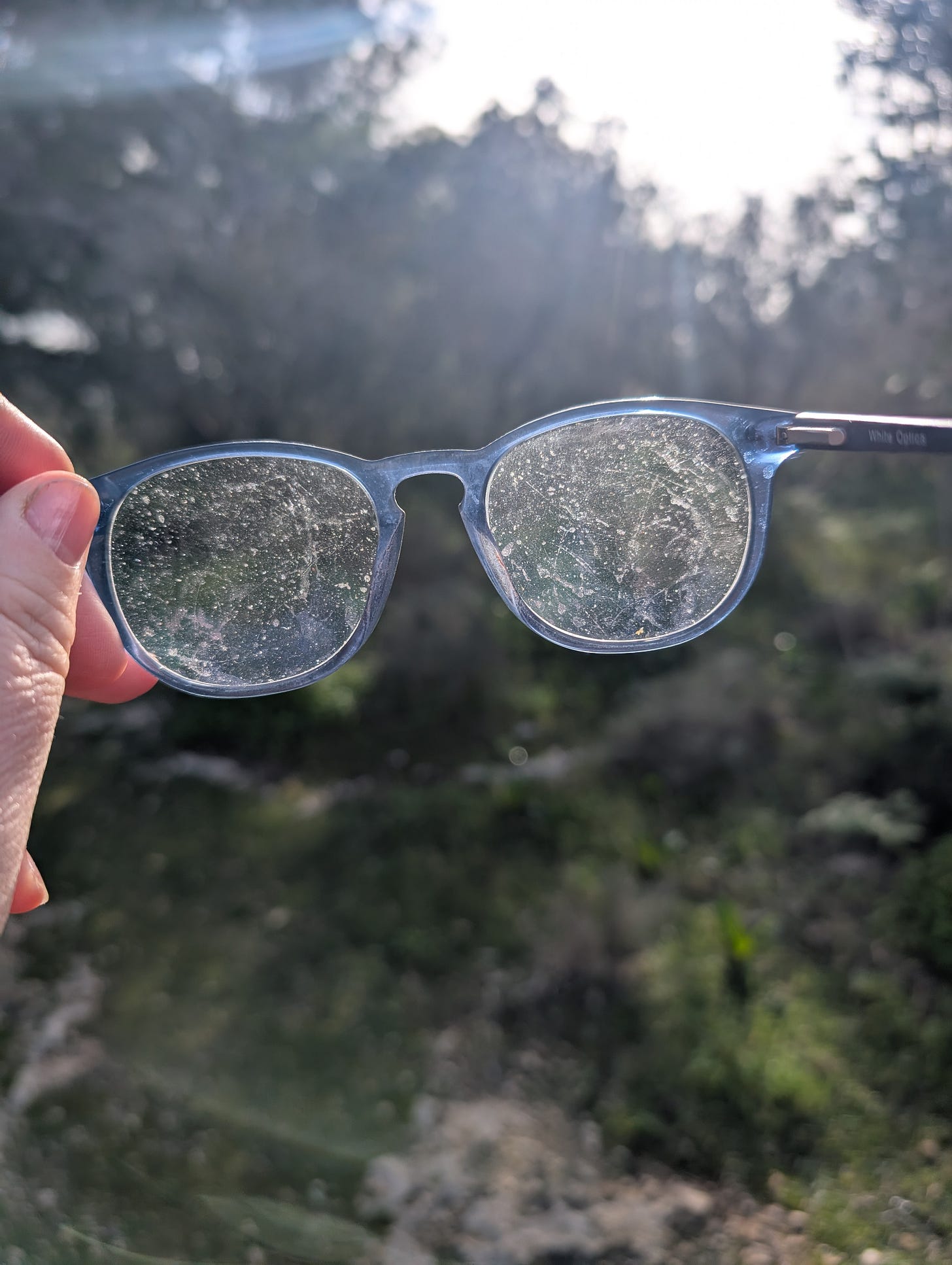 A hand holds a pair of translucent blue glasses up to the sunlight. The lenses are speckled with dust and smudges, softening and dulling the green landscape beyond, which remains blurred in the background.