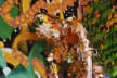 ST.EVE: Intergalactic Odyssey 