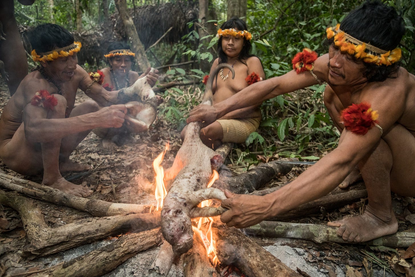 Isolated Nomads Are Under Siege in the Amazon Jungle