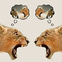 Both Wrong's avatar