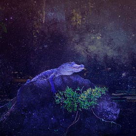 Night on Earth