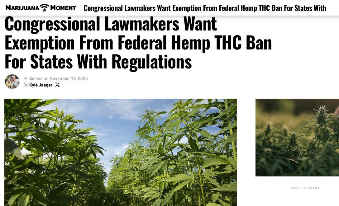 Screengrab of Marijuana Moment piece quoting this Ask a Pol Omar interview which Matt Laslo sold to Marijuana Moment via his wire service, The LCB © www.thelcb.com