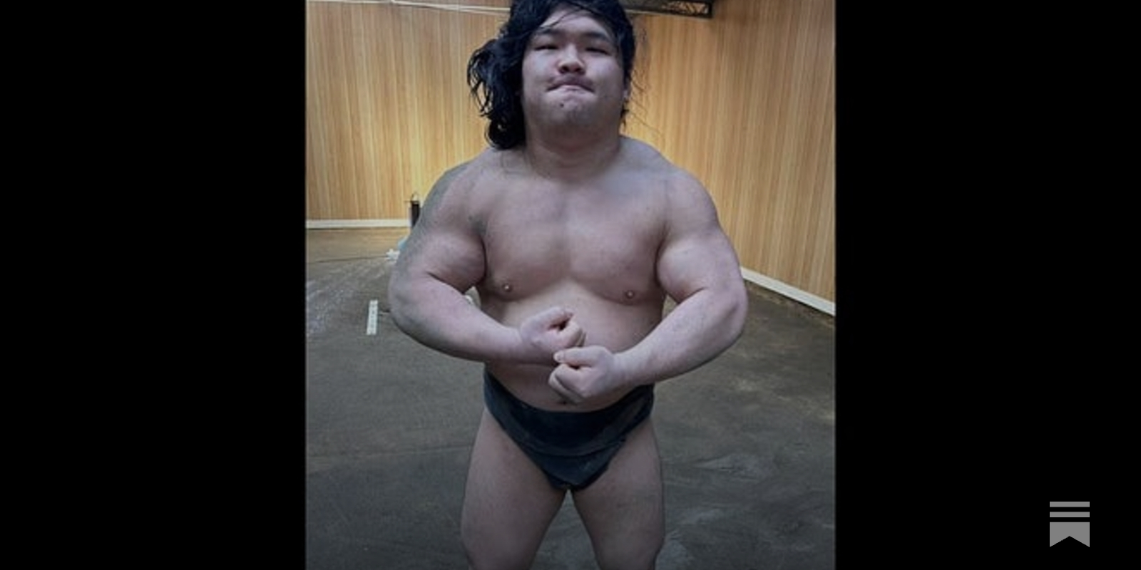 SUMO STOMP Gainsumo ゲインスモー SUMO STOMP Gainsumo ゲインスモー SUMO STOMP Gainsumo ゲインスモー