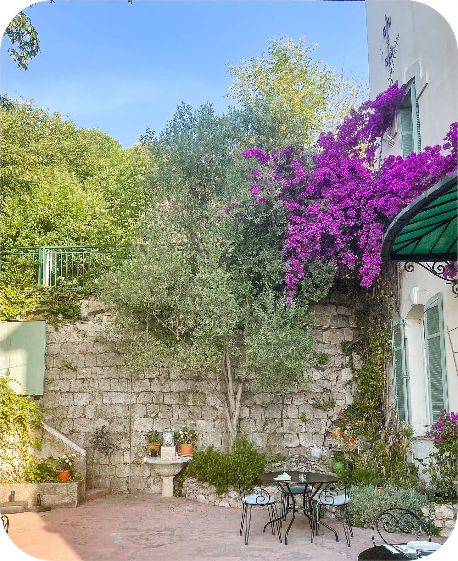 Flowering trees, Grasse, France