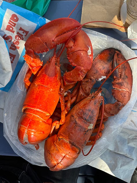 Chatham Pier Fish Market - Chatham, MA