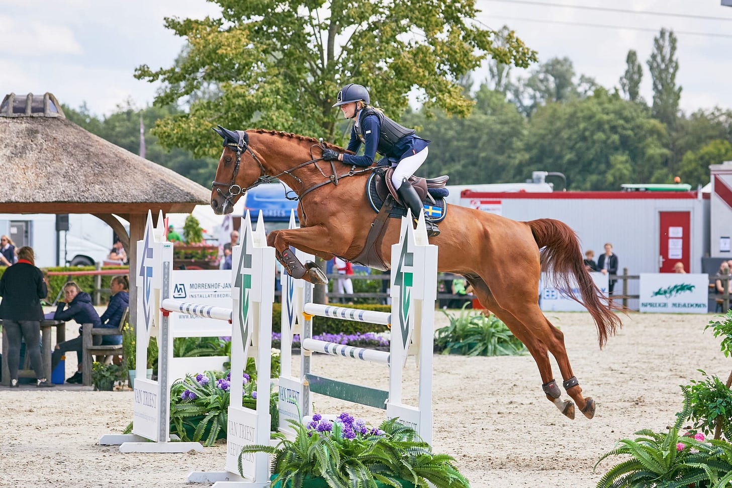 Cornelia Wallenborg Cornelia Wallenborg