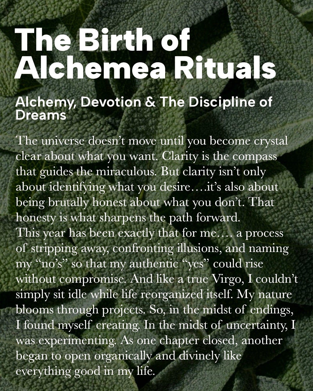 The Birth of Alchemea Rituals - The Hood Healer’s Substack