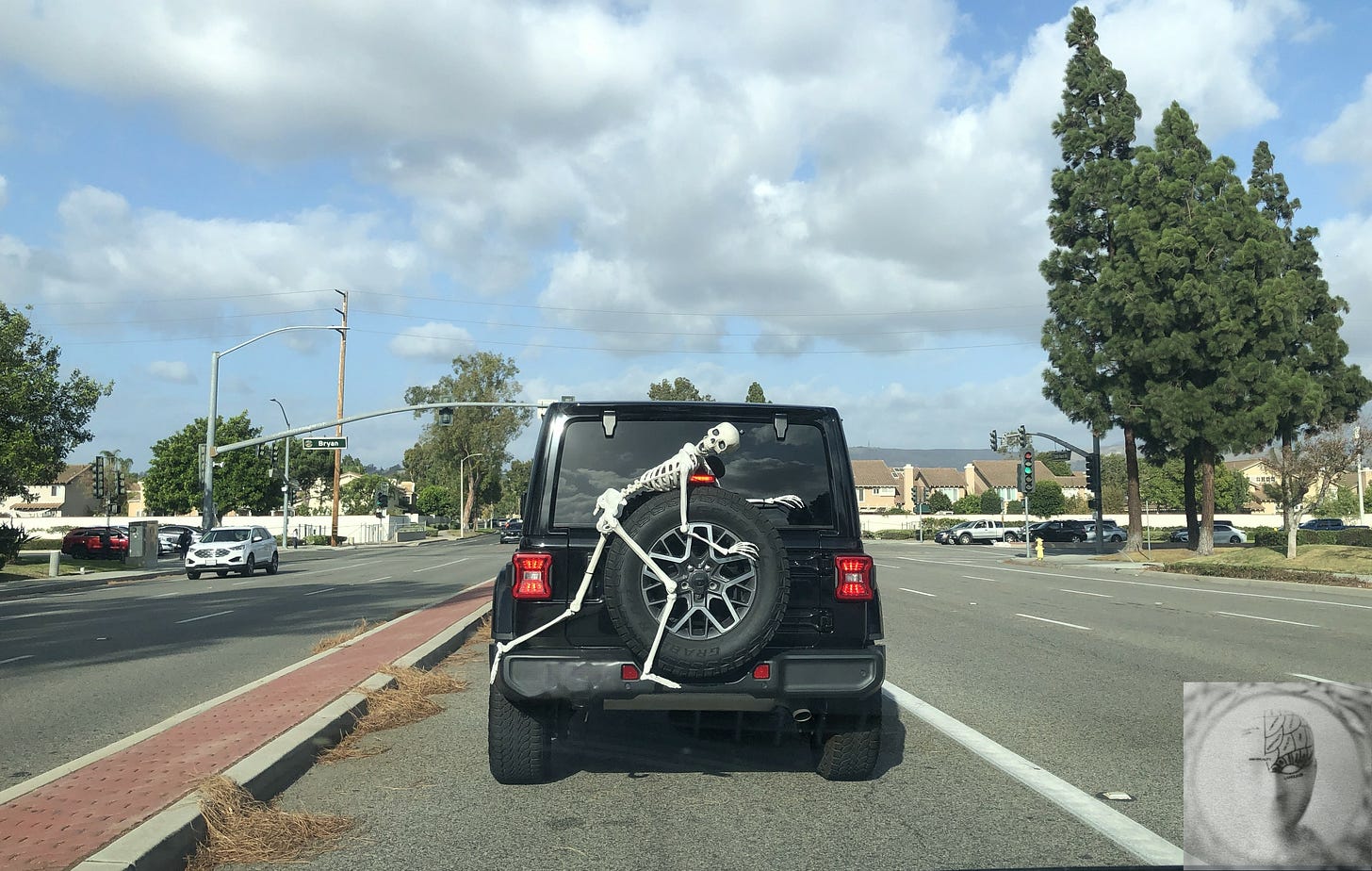 Halloween skeleton hugging a spare wheel on the back of a SUV, set against bright sunshine in Southern California.