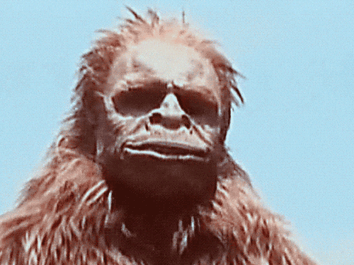 Why Your Book Needs a Monstrous Digital Footprint