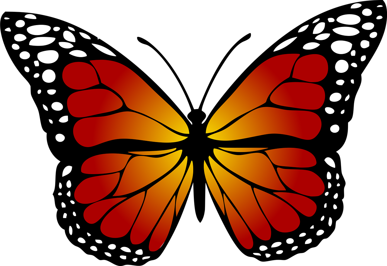Free butterfly monarch abstract illustration