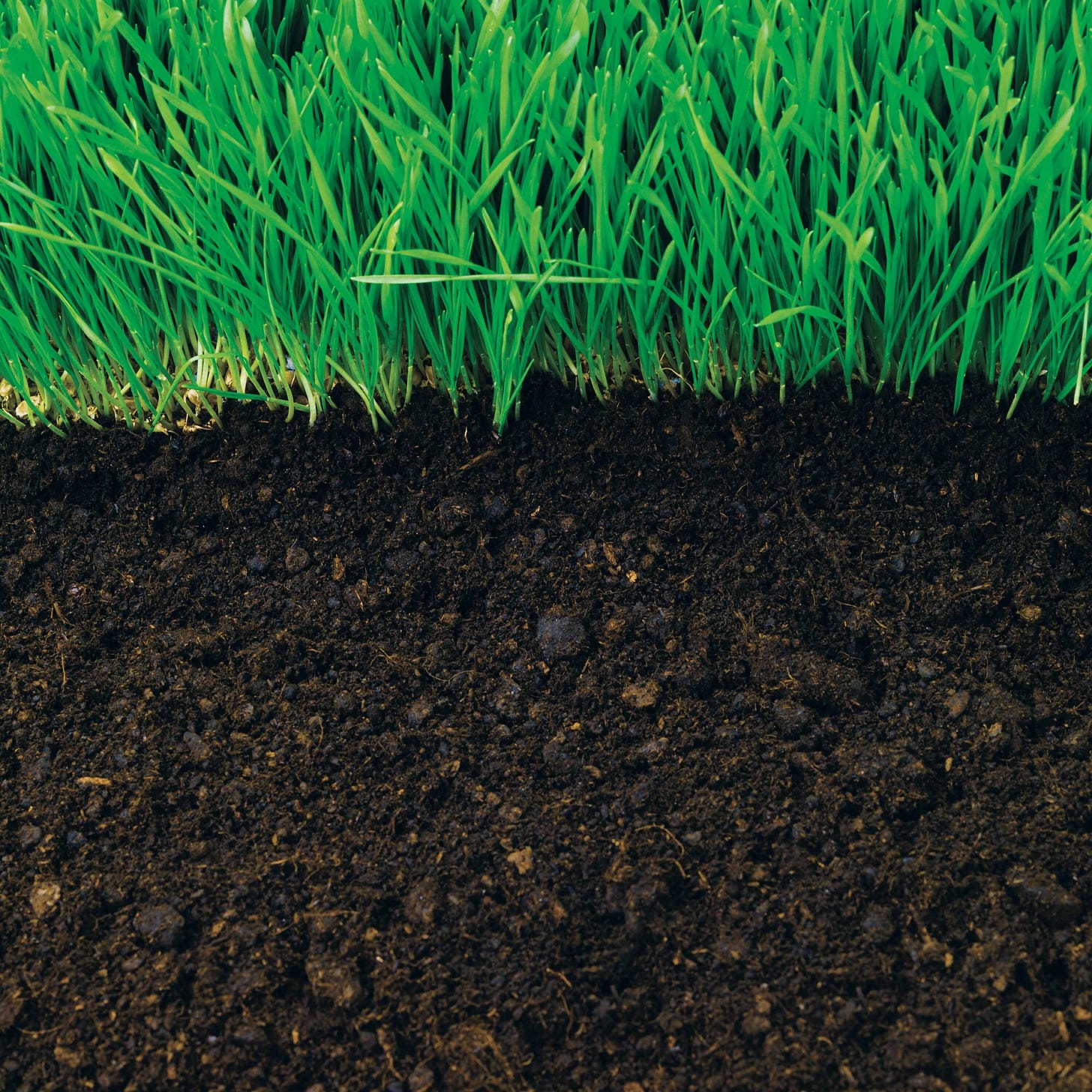 Soil Health - Earth Science