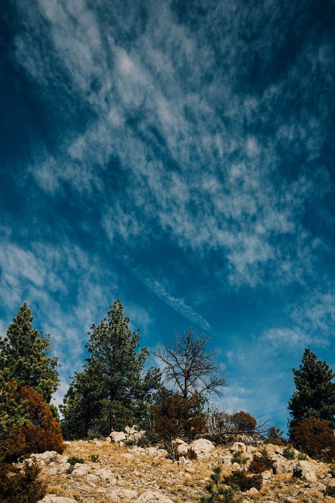 Fuji photographs of life in Montana by Tyler Knott Gregson