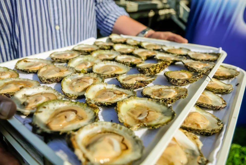 A plate of Irish oysters and a pint of Guinness.