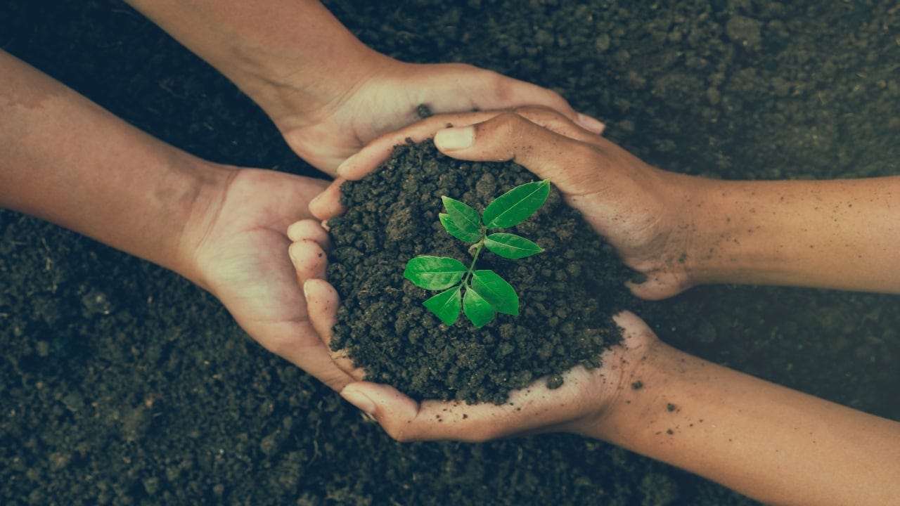 World Nature Conservation Day 2023: History, significance and theme - CNBC TV18 World Nature Conservation Day 2023: History, significance and theme - CNBC TV18
