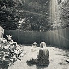 The wisdom of the daisy — reclaiming softness and strength.