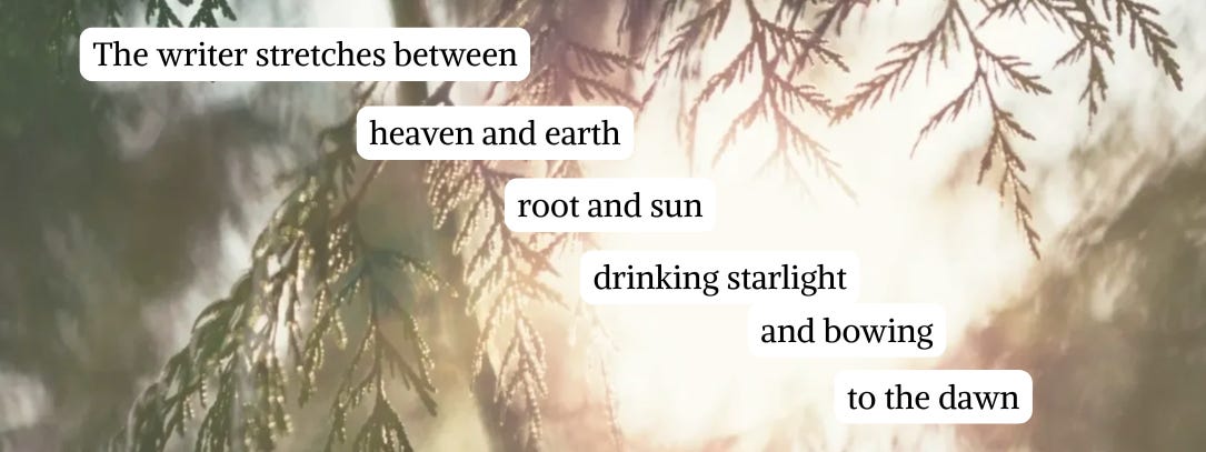 the words: the writer stretches between heaven and earth, root and sun, drinking starlight and bowing to the dawn appear in a staircase moving down like a descent on a glowy misty image of a wet cedar branch. transcendant feeling. 