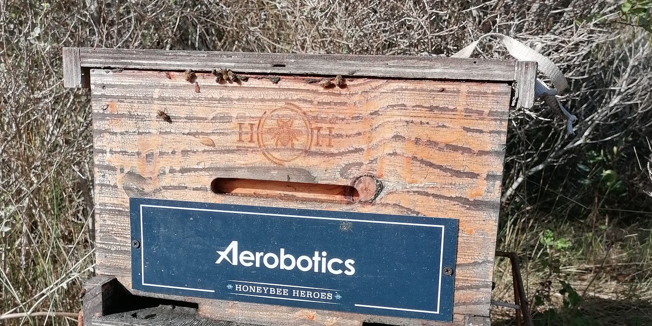 Bee Health and Sustainability