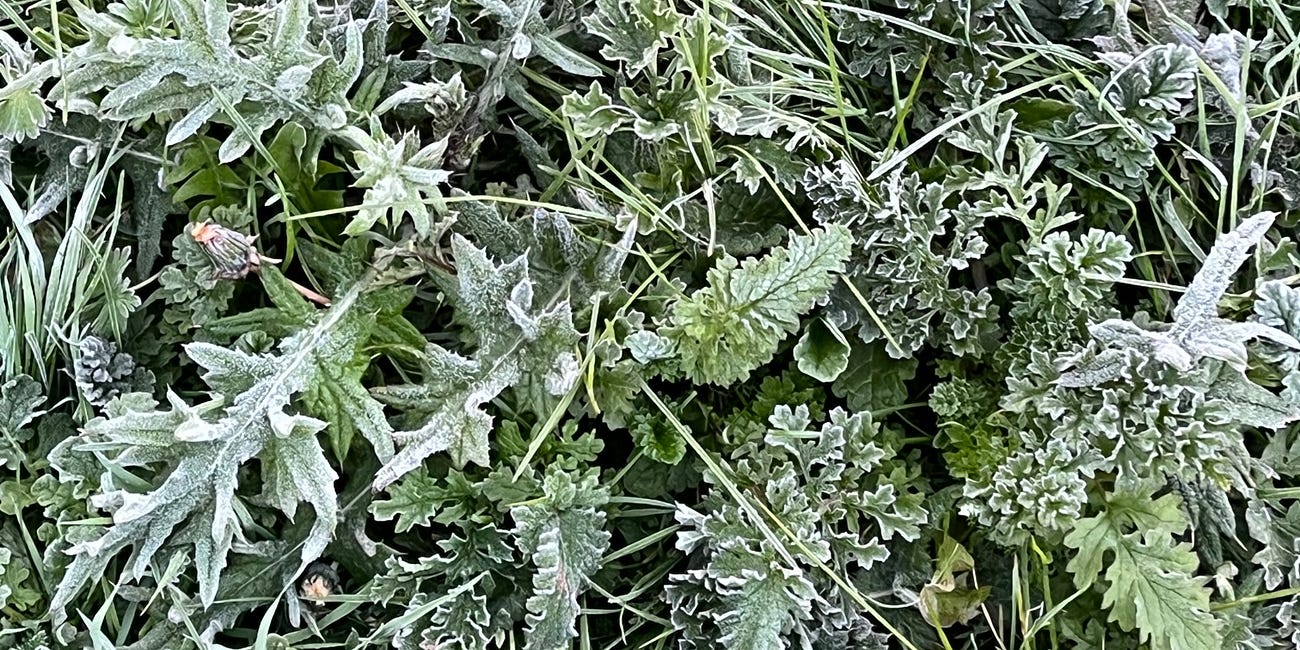 "Coldest April on record" soup
