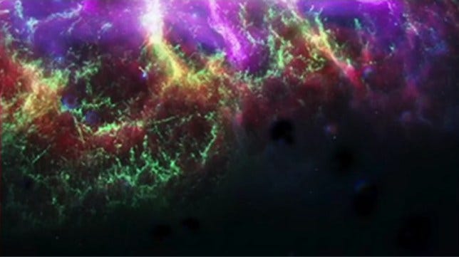 A nebula