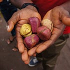 Things Fall Apart #1: Like a man