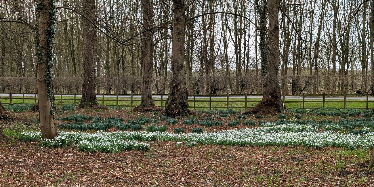 Preparing for a Blooming Good Spring 