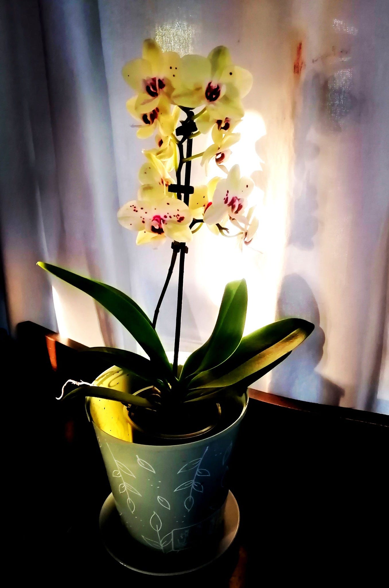 No photo description available.