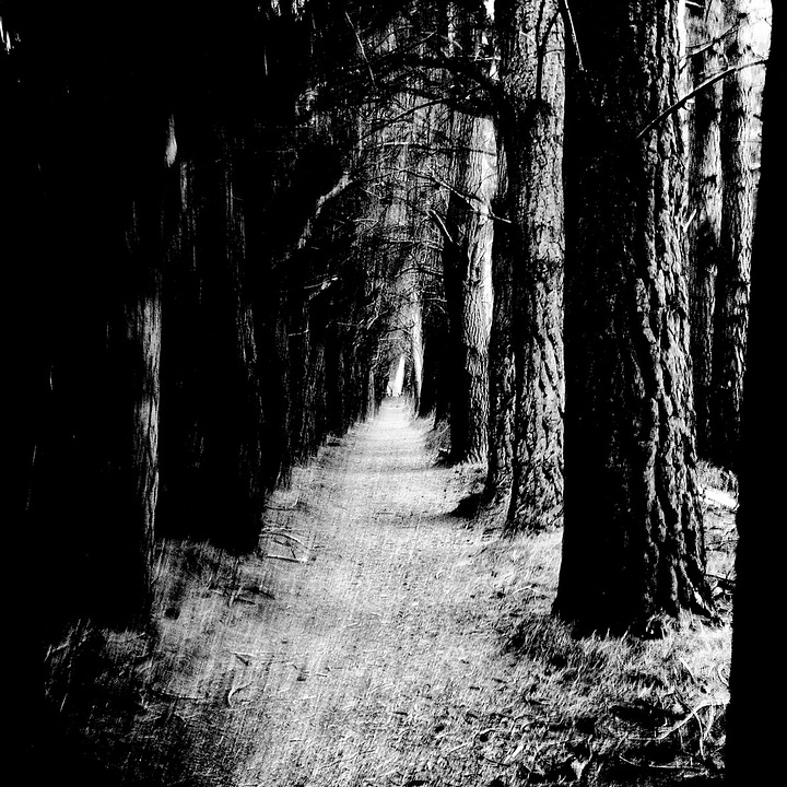 photos of Stray Theories and his new album cover