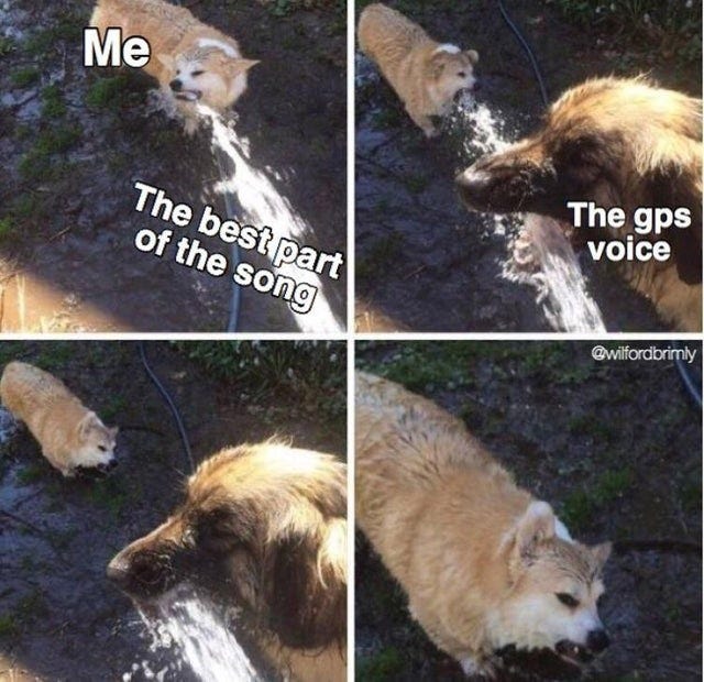 gps meme : Second Language Strategies gps meme : Second Language Strategies