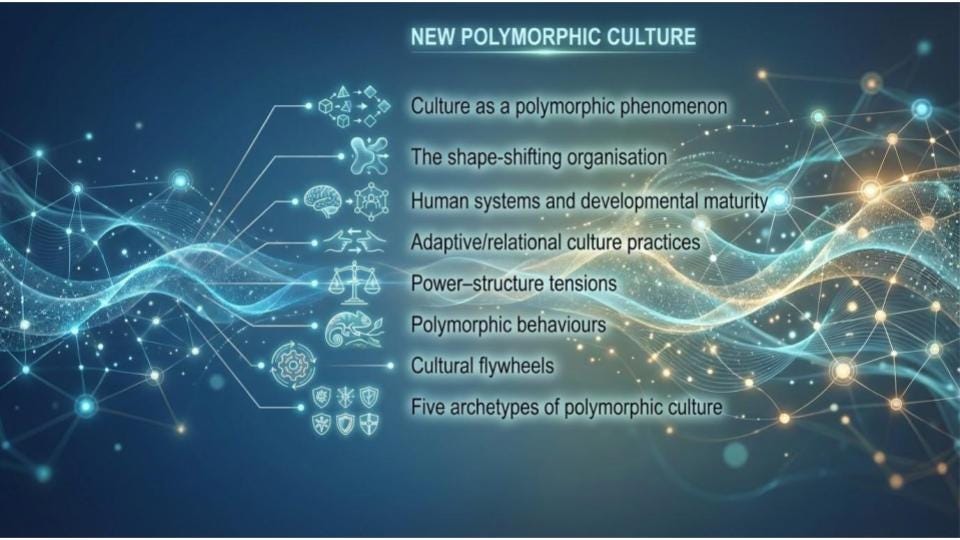 Polymorphism People Polymorphic Organisations VII - Culture in a Polymorphic World