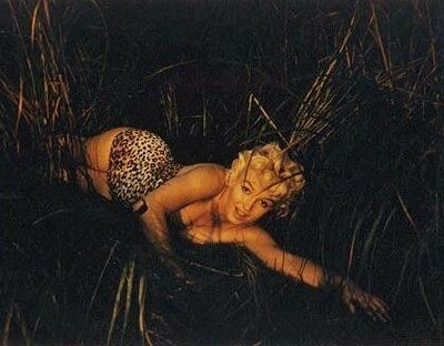 The original Beta Sex Kitten