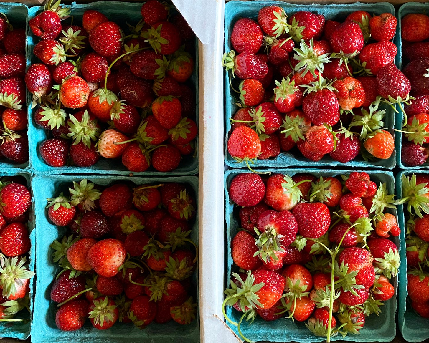 cartons of fresh strawberries cartons of fresh strawberries