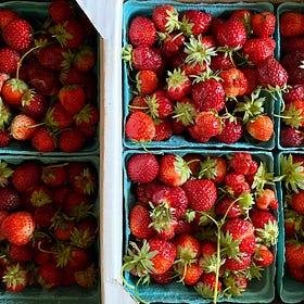 The Maternal Survival Instinct That Helps Me Handle Food Insecurity